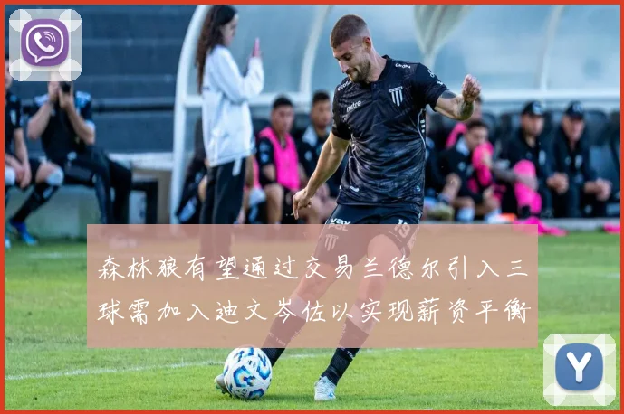 森林狼有望通过交易兰德尔引入三球需加入迪文岑佐以实现薪资平衡
